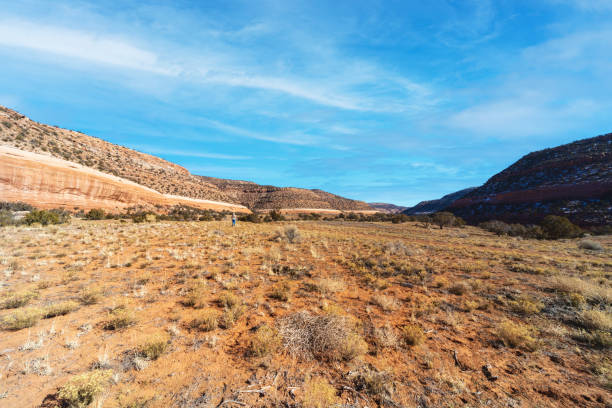 Dynamic Locations in Winter in Western Colorado Outdoors Horizon Scenery Variety with Vibrant Blue Skies and Beautiful Cloudscapes (Shot with Canon 5DS 50.6mp photos professionally retouched - Lightroom / Photoshop - original size 5792 x 8688 and Mavic Air II Drone original size 4887 x 8668 downsampled as needed for clarity and select focus used for dramatic effect)