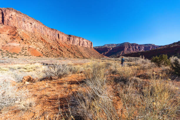 istock Gateway Valley Dominguez Canyon Western Colorado Outdoors Horizon Scenery Variety Dynamic Locations in Winter Photo Series 1367768758