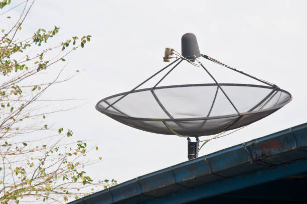 dishe satellite moderne sur le toit avec une branche de feuilles d’arbre - tree house audio photos et images de collection