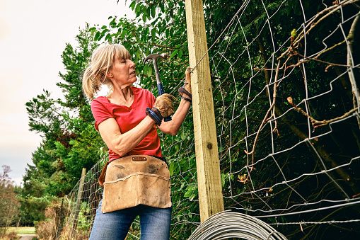 Woman repairing a boundary fence after damage from winter snows.