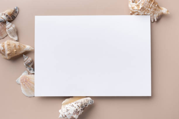 istock Mockup paper card with seashells. Flat lay 1367781643