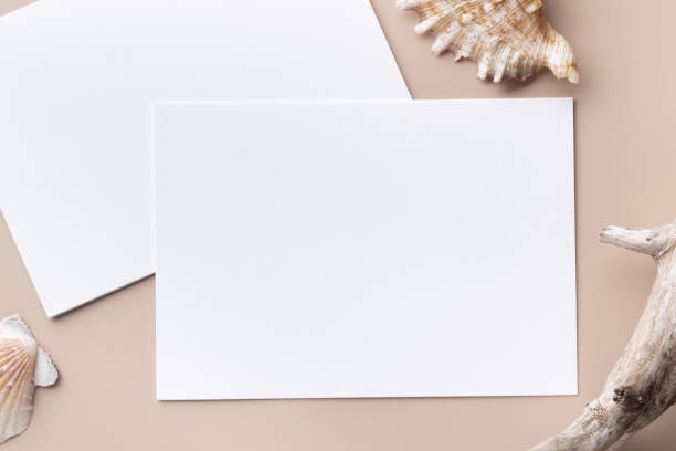 istock Minimal paper card mockup on beige background with branches and seashell 1367781662