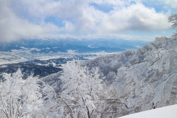 vues de domaines skiables populaires à préfecture de niigata, japon - niiagata photos et images de collection
