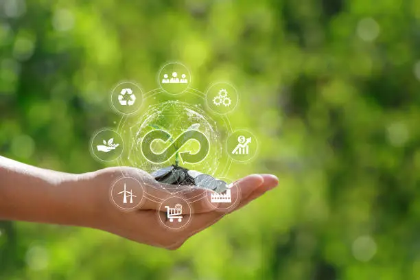 Photo of Green circular economy concept.circular economy icon circulating on hand holding a coin and a small tree. circular economy for future growth of business and environment sustainable.