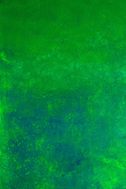 istock green abstract background. Healthy lifestyle, abstract, spirulina, algae concept 1367783797