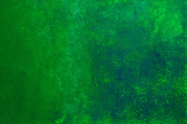 istock green abstract background. Healthy lifestyle, abstract, spirulina, algae concept 1367783805