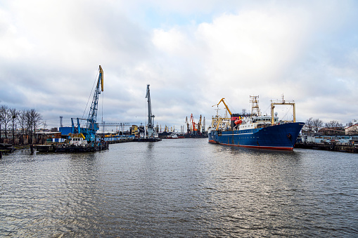 Baltic Sea. Many tall cargo cranes barges and ships, stand on the banks of River.