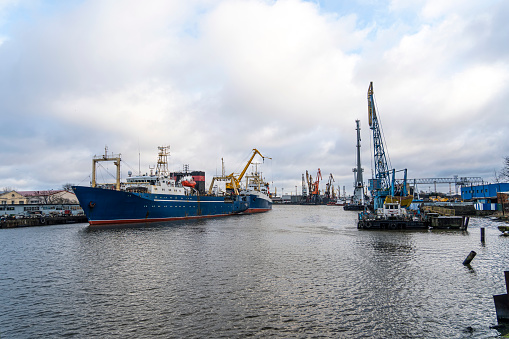 Industrial cranes lifting cargo containers against blue sky near sea in harbor of Kaliningrad, Russia