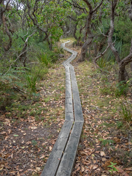 promenade - johanna - otway national park photos et images de collection