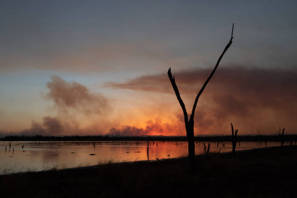 istock Fire Burning at Lake Nuga Nuga 1367787784
