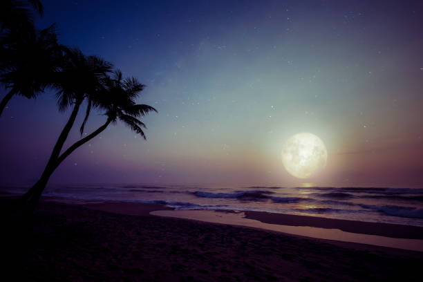 istock full moon with star during night at tropical beach 1367790712