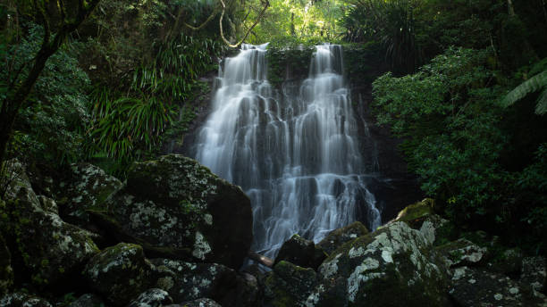 Lamington National Park