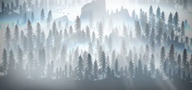 Vector illustration of Pine forest mist and fog