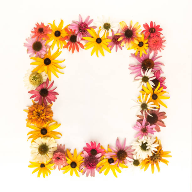 istock floral frame, birthday, wedding card background 1367794044