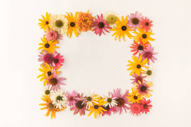 istock floral frame, birthday, wedding card background 1367794054