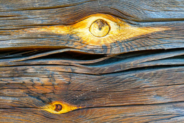 istock Wood texture side view. Background. Blank for designers. 1367796666