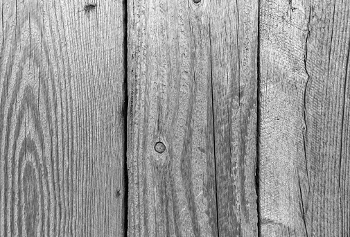 Grunge old wood door textured background