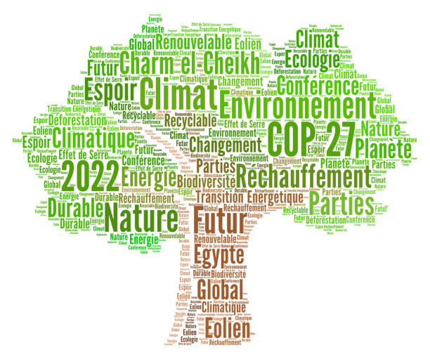 istock COP 27 in Sharm el-Sheikh word cloud concept in french language 1367801933