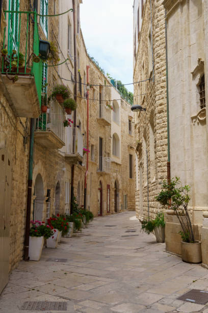 istock Molfetta, historic city  in Apulia 1367803243