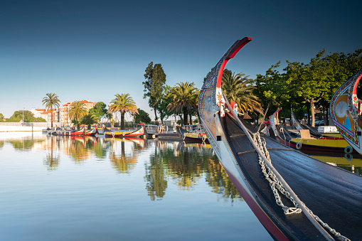 View of the main channel of the Ria de Aveiro in Portugal with the traditional boats Moliceiros.