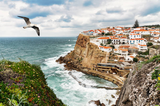 seagull flying over the typical fishing village of Azenhas do Mar in Sintra Portugal. seagull flying over the typical fishing village of Azenhas do Mar in Sintra Portugal azenhas do mar stock pictures, royalty-free photos & images