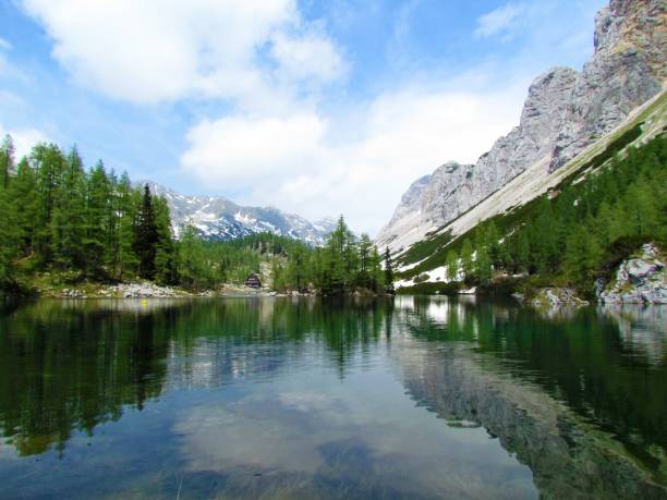 schöner doppelsee im triglav seental im nationalpark triglav und den julischen alpen in gorenjska, slowenien mit lärchen und schneeresten und einem spiegelbild der berge im see - julian alps mountain lake reflection stock-fotos und bilder