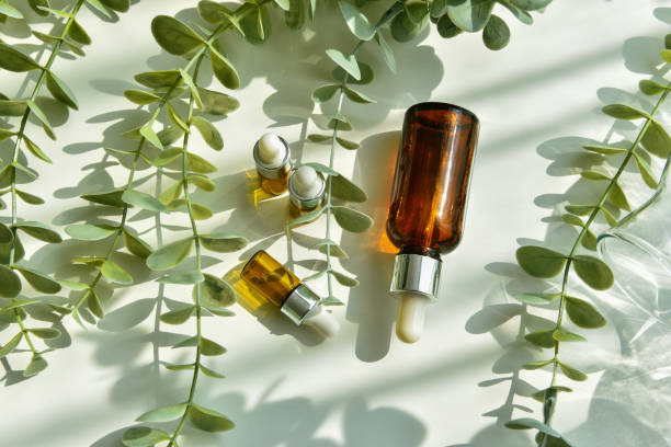 istock Cosmetic bottle containers packaging with green herbal leaves in shadow and light effect, Blank label for organic branding mock-up, Natural skincare beauty product concept. 1367805157