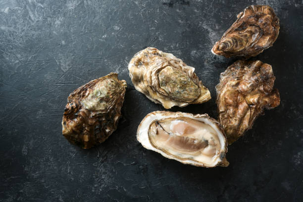 istock Group of oysters, one is open on a dark gray slate background, copy space, top view from above 1367807362