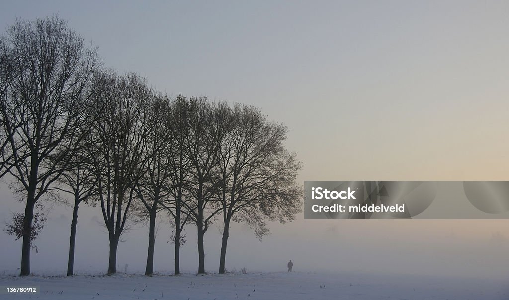 Paisaje de invierno - Foto de stock de Abstracto libre de derechos