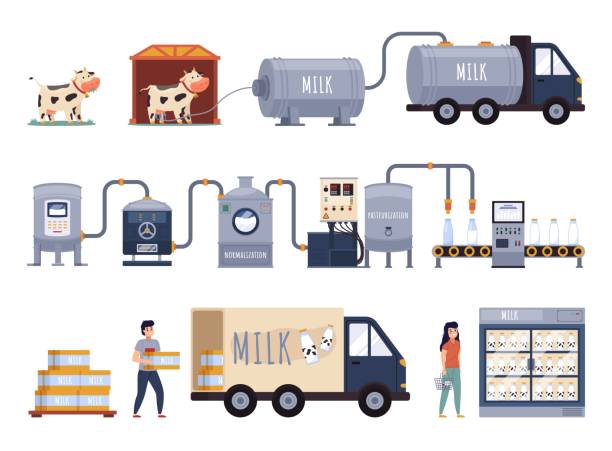 ilustraciones, imágenes clip art, dibujos animados e iconos de stock de producción de leche de dibujos animados. cadena de procesos lácteos, línea de procesamiento en fábrica de lácteos automatizada, industria alimentaria. ordeño, pasteurización y embotellado, transporte a almacenes vector aislado conjunto - bottling plant industry drink food processing plant