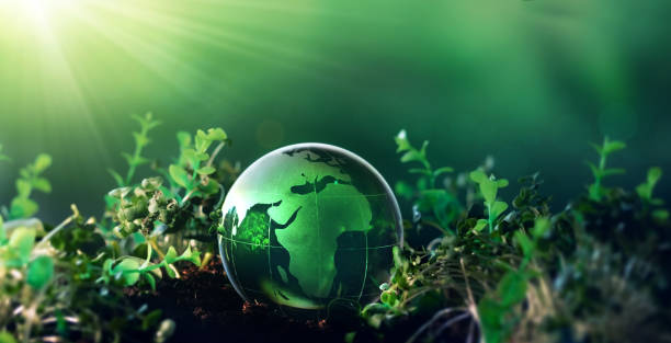 istock Environment day, save clean planet, ecology concept. Earth Day.Crystal earth globe on 
sunny background. 1367813344