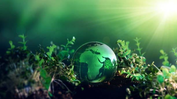 istock Environment day, save clean planet, ecology concept. Earth Day.Crystal earth globe on sunny background. 1367813346