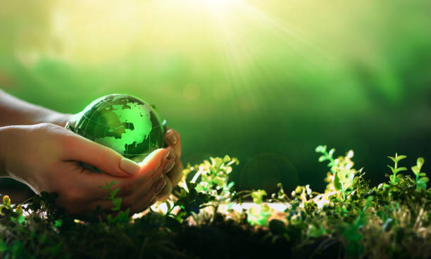 istock Earth Day.Hand holding crystal earth globe.Environment day, save clean planet, ecology concept.Renewable energy-based green businesses can limit climate change and global warming. 1367813355