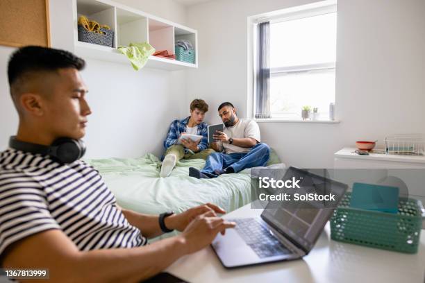 Uni Students Studying Together Stock Photo - Download Image Now - Studying, Dorm Room, Learning