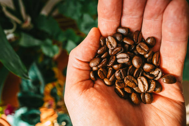 istock Handful of roasted coffee beans macro close up 1367814598