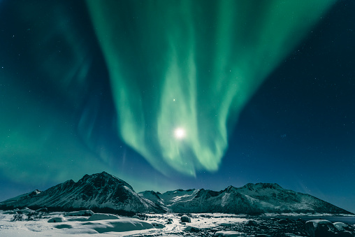 Northern Lights, polar light or Aurora Borealis in the night sky over Senja island in Northern Norway. Snow covered mountains in the background with water of the Norwegian Sea reflecting the lights in the foreground. Moonlight is illuminating the snow covered landscape.