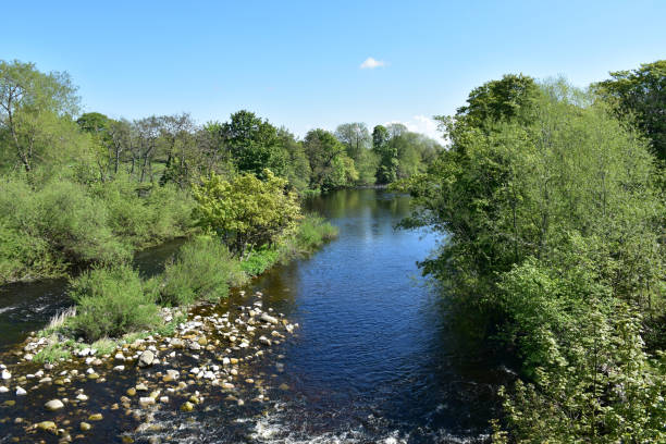 istock River Flowing Over Rocks in the Countryside 1367816297