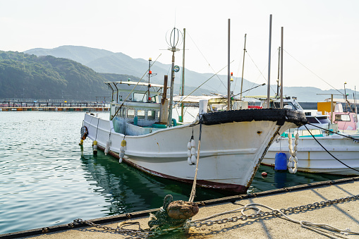 Traditional fishing boats in Japanese harbor