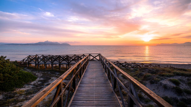 The beach Platja de Muro between Alcudia and Ca'n Picafort at sunrise The beautiful beach Platja de Muro is between Alcudia and Ca'n Picafort in the north-west of Mallorca bay of alcudia stock pictures, royalty-free photos & images