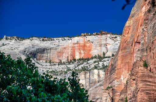 Mountains and trees of Zion National park, Utah - USA