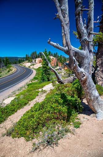 Major road across Bryce Canyon National Park