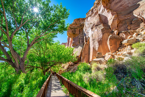 Brown mountains of Capitol Reef National Park in the forest