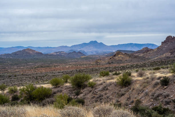 istock An overlooking view of Lost Dutchman SP, Arizona 1367821134