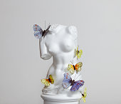 Plaster torso of Venus with butterflies