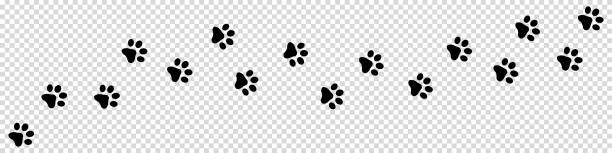 ilustraciones, imágenes clip art, dibujos animados e iconos de stock de animal paw track - iconos vectoriales negros aislados sobre fondo transparente - dog paw print paw pets