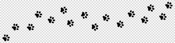 illustrations, cliparts, dessins animés et icônes de animal paw track - icônes vectorielles noires isolées sur fond transparent - patte