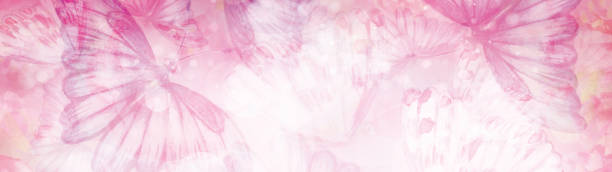 abstrakt, rosa, bokeh-hintergrund, flora und schmetterlinge. illustration. - backgrounds pink flower softness stock-grafiken, -clipart, -cartoons und -symbole