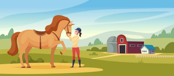 Equestrian background. Domestic horse and rides kids and parents equestrian training hall exact vector cartoon illustratiion Equestrian background. Domestic horse and rides kids and parents equestrian training hall exact vector cartoon illustratiion. Equestrian and rider woman norfolk stock illustrations