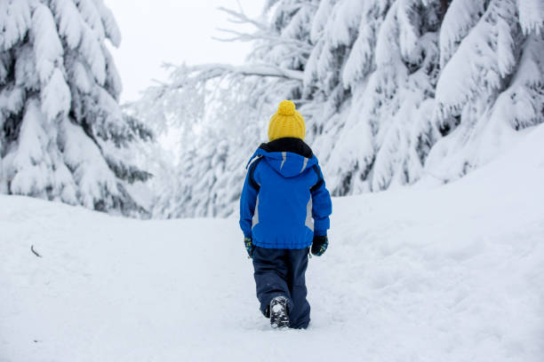 istock Sweet happy child, playing in deep snow 1367830860