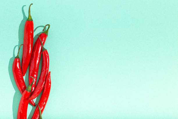 istock Red hot chilli peppers on minimal blue contrast background 1367831783